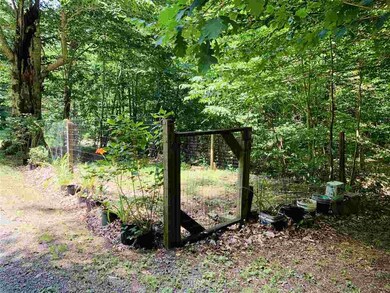 2910 Garth Run Rd, Madison, VA 22727 - photo 5