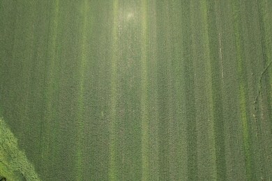 0 Attala Road 4110 unit 24269942, Sallis, MS 39160 - photo 5