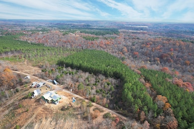 338 County Road 41, Calhoun, TN 37309 - photo 3