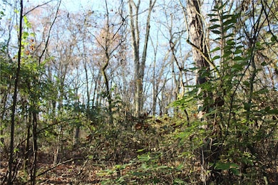 001-04740-000 Marion County 5045, Yellville, AR 72687 - photo 4