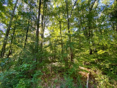 ParceL A S, Taylorsville, MS 39168 - photo 3