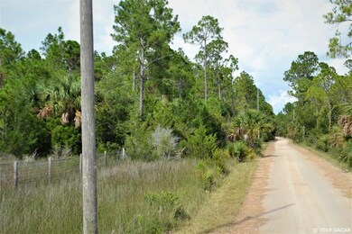 00 Yates Creek Rd, Perry, FL 32348 - photo 3