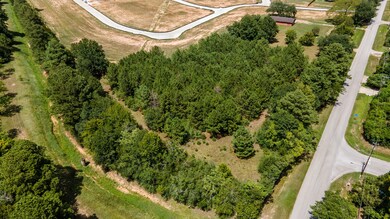 0 Carrell Lot 2 St unit 39857295, Tomball, TX 77375 - photo 2