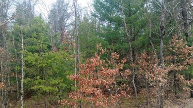 VL Par B S Peacock Trail, Baldwin, MI 49304 - photo 5