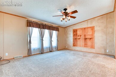 10120 Horseback Trail, Peyton, CO 80831 - photo 6