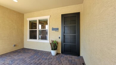 Custom Screen Door