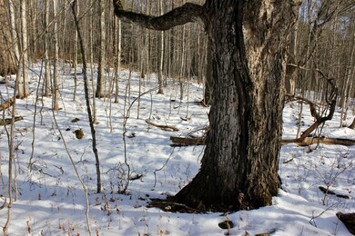 00 Tyson Rd, Reading, VT 05062 - photo 6