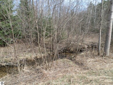 0 S Campbell Rd, West Branch Township, MI 48661 - photo 5