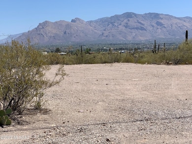 Catalina Mtns. from front of bldg pad