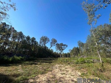 3315 Nesom Rd, Denham Springs, LA 70706 - photo 7