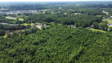 Aerial overview of property's location featuring a forest