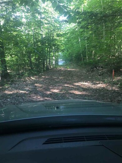 Route New Hampshire 113 unit 2, Holderness, NH 03245 - photo 5