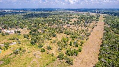 18048 Cr 463, Brazoria, TX 77422 - photo 4