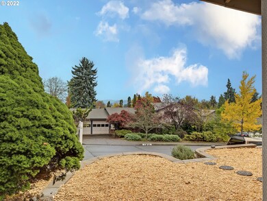 Front Yard