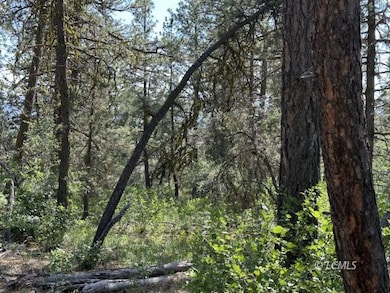 0 Sandpiper Dr unit 3007715, Beatty, OR 97621 - photo 5