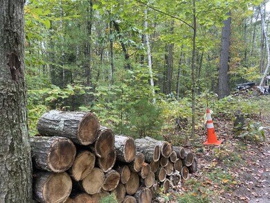 0 Cedar Swamp Rd, Monson, MA 01057 - photo 6