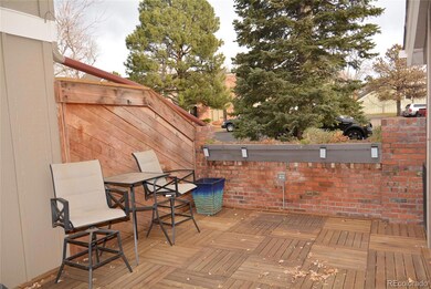 11804 Elk Head Range Rd, Littleton, CO 80127 - photo 4