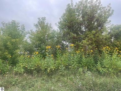 TBD E Denver Rd, Rosebush, MI 48622 - photo 5