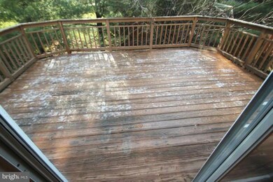 3839 Wildlife Ln, Burtonsville, MD 20866 - photo 4