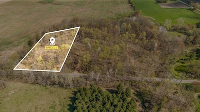 Lot 5