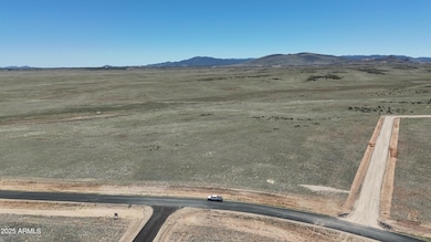 DJI_20250516125407_0001_D - frame at 2m5