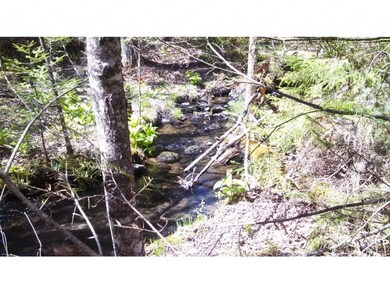 00 Foster Hill Rd, Littleton, NH 03561 - photo 6