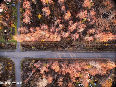 11360 E Fox Trail, Trapper Creek, AK 99683 - photo 4