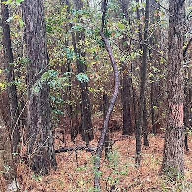 TBD Mc 226, Texarkana, AR 71854 - photo 6