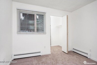 window has drapes