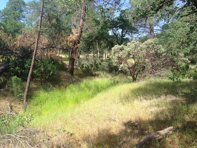 20140603221027491373000000-o