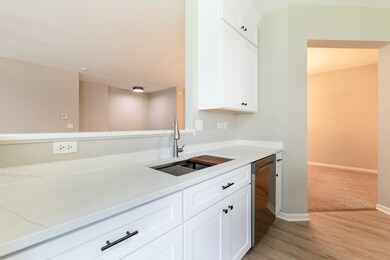 12220 Pear Tree Way, Plainfield, IL 60585 - photo 7