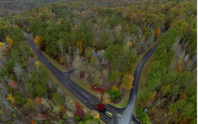 LT169 Doll Mountain Rd, Ellijay, GA 30540 - photo 2