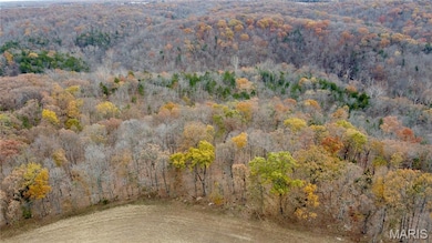 Tract 6 Polston Ln, Hickory Grove Township, MO 63357 - photo 6