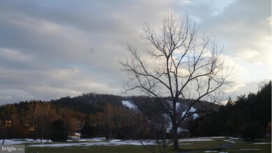 2488 Fairway Dr unit 629, Basye, VA 22810 - photo 6