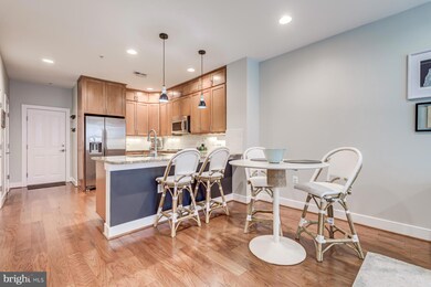 2207 Main Line Blvd unit 101, Alexandria, VA 22301 - photo 5