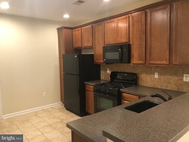 22709 Settlers Trail Terrace, Ashburn, VA 20148 - photo 2