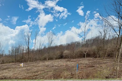 6.-NW-View-of-Lot-From-Road--.jpeg