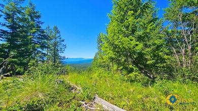 Fwp Region 1 unit Hunting District 122, Plains, MT 59859 - photo 7