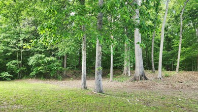 00 Bluff Hills Place, Natchez, MS 39120 - photo 6