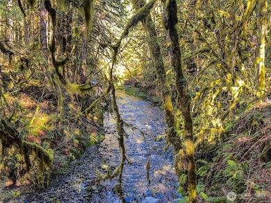 423 Lords Lake Loop Rd, Quilcene, WA 98376 - photo 6