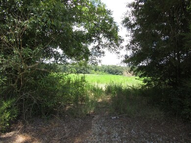 000 Eudon Best Rd, Ashford, AL 36312 - photo 5