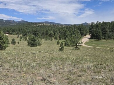 755 Black Fawn Ln, Westcliffe, CO 81252 - photo 4