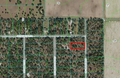 Lot 2 SW Viburnum Rd, Dunnellon, FL 34431 - photo 7