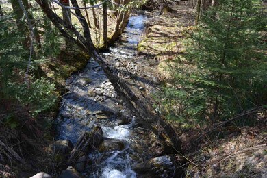 Lot 13 Brooks Park Rd, Stewartstown, NH 03576 - photo 2