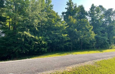 106b Calico Ct, Alberta, AL 36720 - photo 5