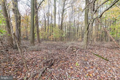 0 Timber Grove Rd unit 1004187911, Reisterstown, MD 21136 - photo 7