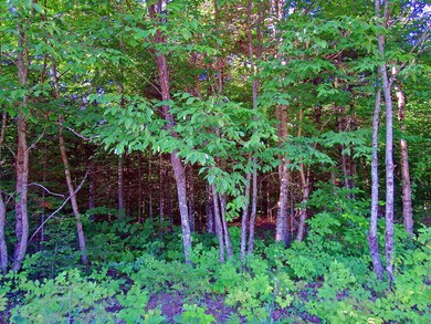 dunn-300-acres-rt-212