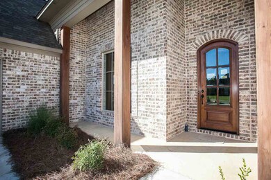 114 Brisco St, Madison, MS 39110 - photo 6