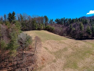 3263 Possum Trot Rd unit 2, Burnsville, NC 28714 - photo 7