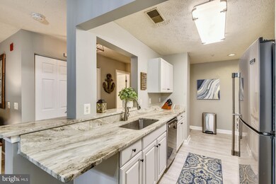 655 Burtons Cove Way unit 1, Annapolis, MD 21401 - photo 6